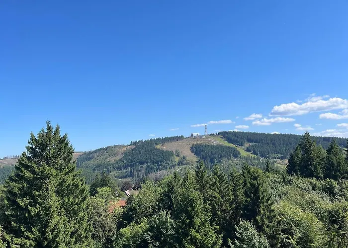 Bocksberg Horizont 公寓 *