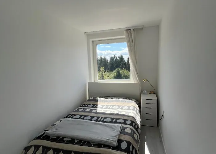 Bocksberg Horizont * 戈斯拉尔